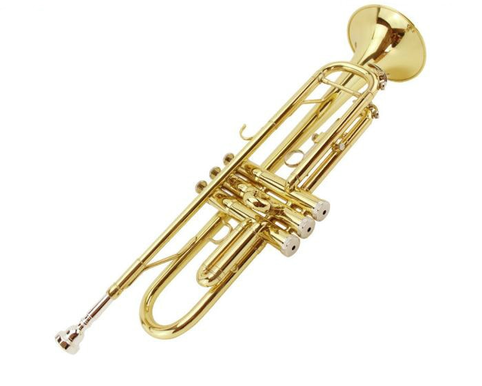 MARGEWATE Bb Trumpet High Quality Brass Gold Lacquer B Flat Playing Musical Instrument Trumpet with Mouthpiece Case
