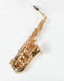 Aston Saxophone Eb tone paint QYAS-300