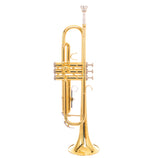 SADSN Bb Tune Trumpet Brass Gold Plated B Flat Trumpet Pearl Button for Beginner Musical Instrument with Mouthpiece Case STR-100