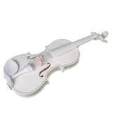 Full 4/4 Size Maple Spruce Violin with Case Bow Rosin for Students Learning，Band Show