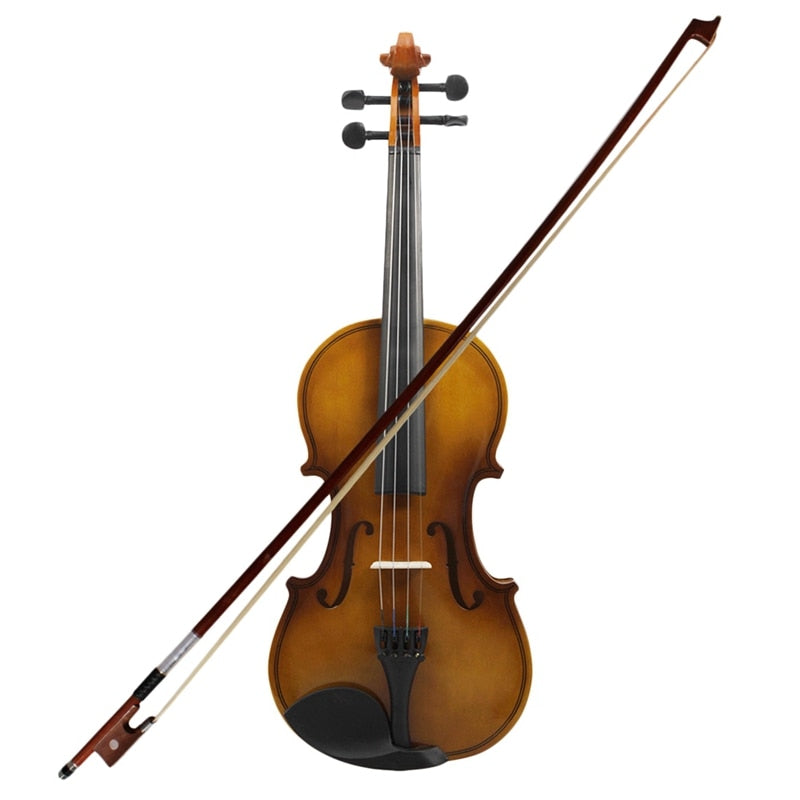 ABGZ-4/4 Full Size Acoustic Violin Fiddle Wood With Case Bow Rosin Violin