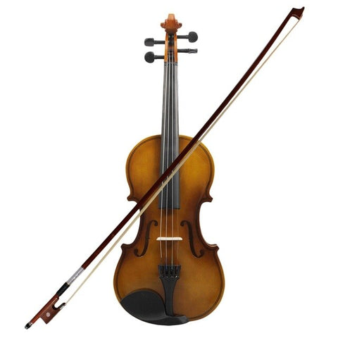 4/4 Full Size Acoustic Violin Fiddle With Case Bow Rosin Violin