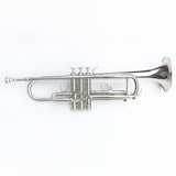 B Flat Small/ Cavalry Trumpet /Plated Nickel Silver Small Musical Instrument Road Small Band Beginner Playing