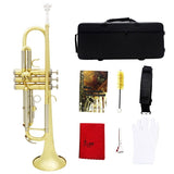 Slade Trumpet Bb B Flat Durable Brass Trumpet Beginner Musical Instrument with Mouthpiece Gloves and Exquisite Gig Bag